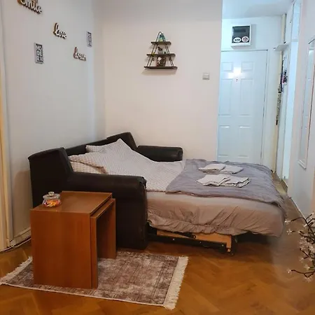 Apartment Sunflower Zarkovo