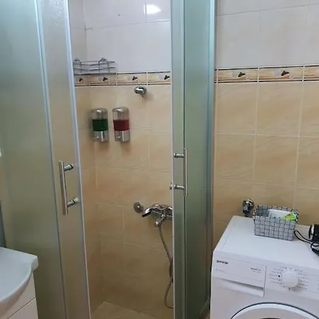 Sunflower Apartment Zarkovo