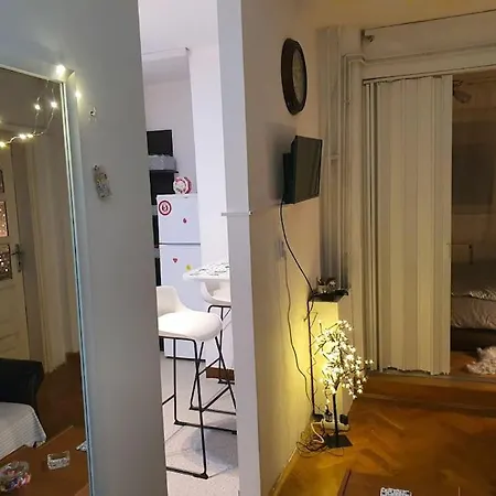 Apartment Sunflower Zarkovo